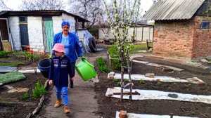 Вести со двора , одни дома ...