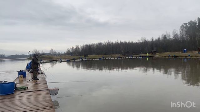 Запуск форели в водоем