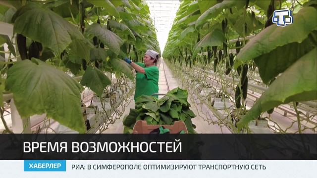В Симферополе прошел региональный этап Всероссийской ярмарки трудоустройства