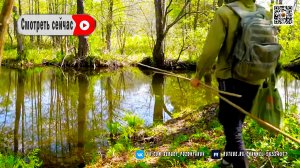 Рыбалка на диком озере и копчение рыбы в бревне!