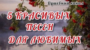 5 КРАСИВЫХ ПЕСЕН ДЛЯ ЛЮБИМЫХ