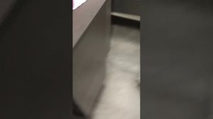 убирающий у себя в комнате