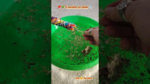 🔥🌚 ВЫЖИГАЕМ ВСЕ ПЕРЕКЛАДЫ БОЛЕЗНЕЙ, СТРАШНОГО СУДА, СМЕРТИ