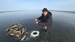 Рыбалка по первому льду на окуня.
