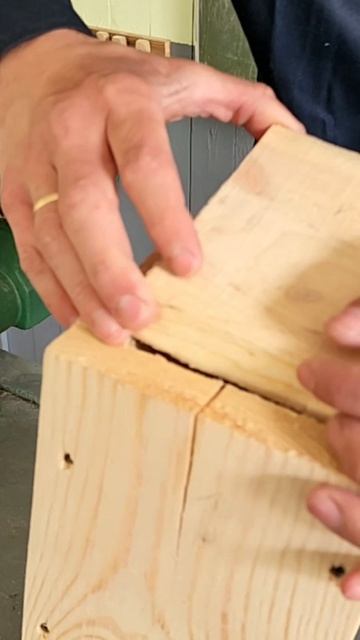 Что нам стоит дом