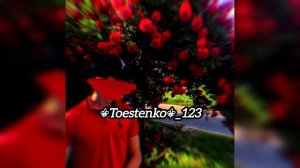 Новая цыганская песня 2026, пропавшая надежда 😹🙌