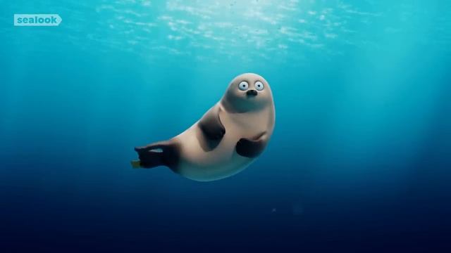 Морские Котики SEALOOK 10