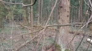 Особенности правильной техники м0рд060я