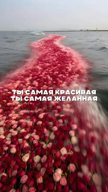 Congrats on March 8 - International Womens Day!