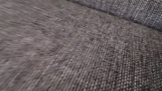 Кальмар vs доктор динозаврасерый