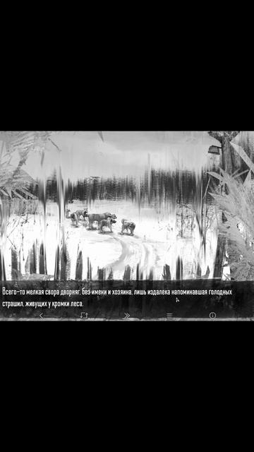 Поменяли кадр в Tiny Bunny