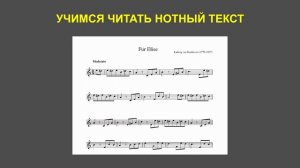 Учимся читать нотный текст
