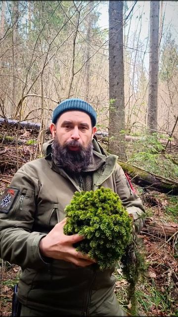 Ведьмина метла.mp4