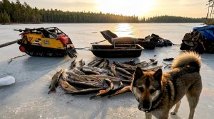 О ТАКОЙ РЫБАЛКЕ УМАЛЧИВАЮТ. РЫБАЛКА НА ОЗЕРЕ ГДЕ НИКТО НЕ ЛОВИЛ МНОГО ЛЕТ. ЛУЧШАЯ РЫБАЛКА НА ЖЕРЛИЦЫ