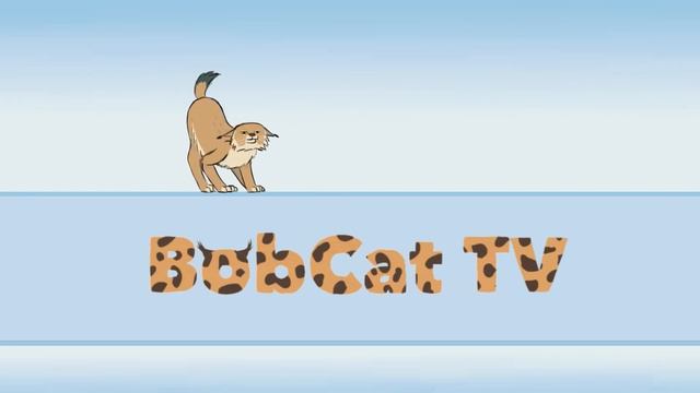 ЗЕРКАЛЬНЫЙ ТЕСТ ПУМЫ / Пумыч играет с Наташей / Ребенок и котята