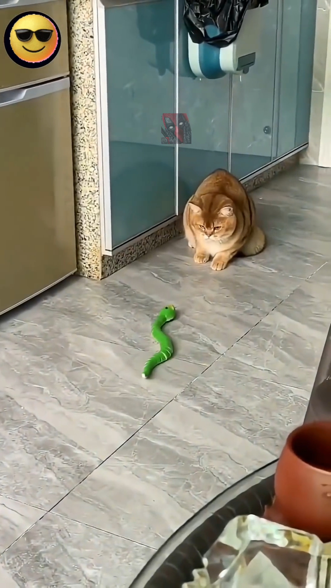 Котили как всегда в своём репертуаре 