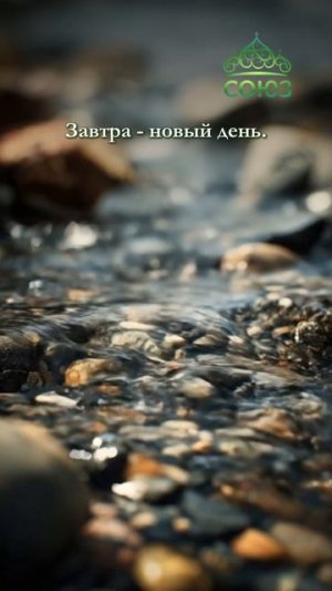 Субботнее омовение души