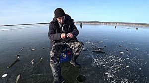 Рыбалка по первому льду, ловля окуня зимой.