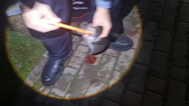 VID_20260417_212341_963