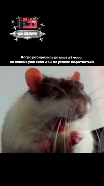 Плёночный фотоаппарат на 36 кадров (Артикул WB: #WW360391)💕