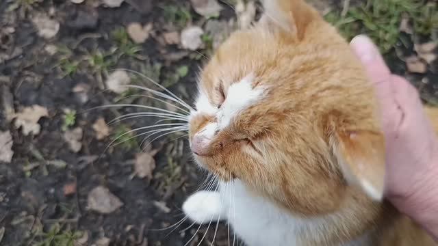 Месяц разлуки - секунда объятий!