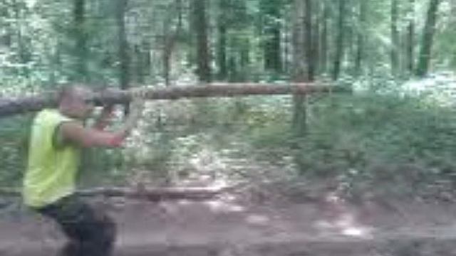 Перестрелка в лесу. Видео VHD/JVS.  Оцифровка.