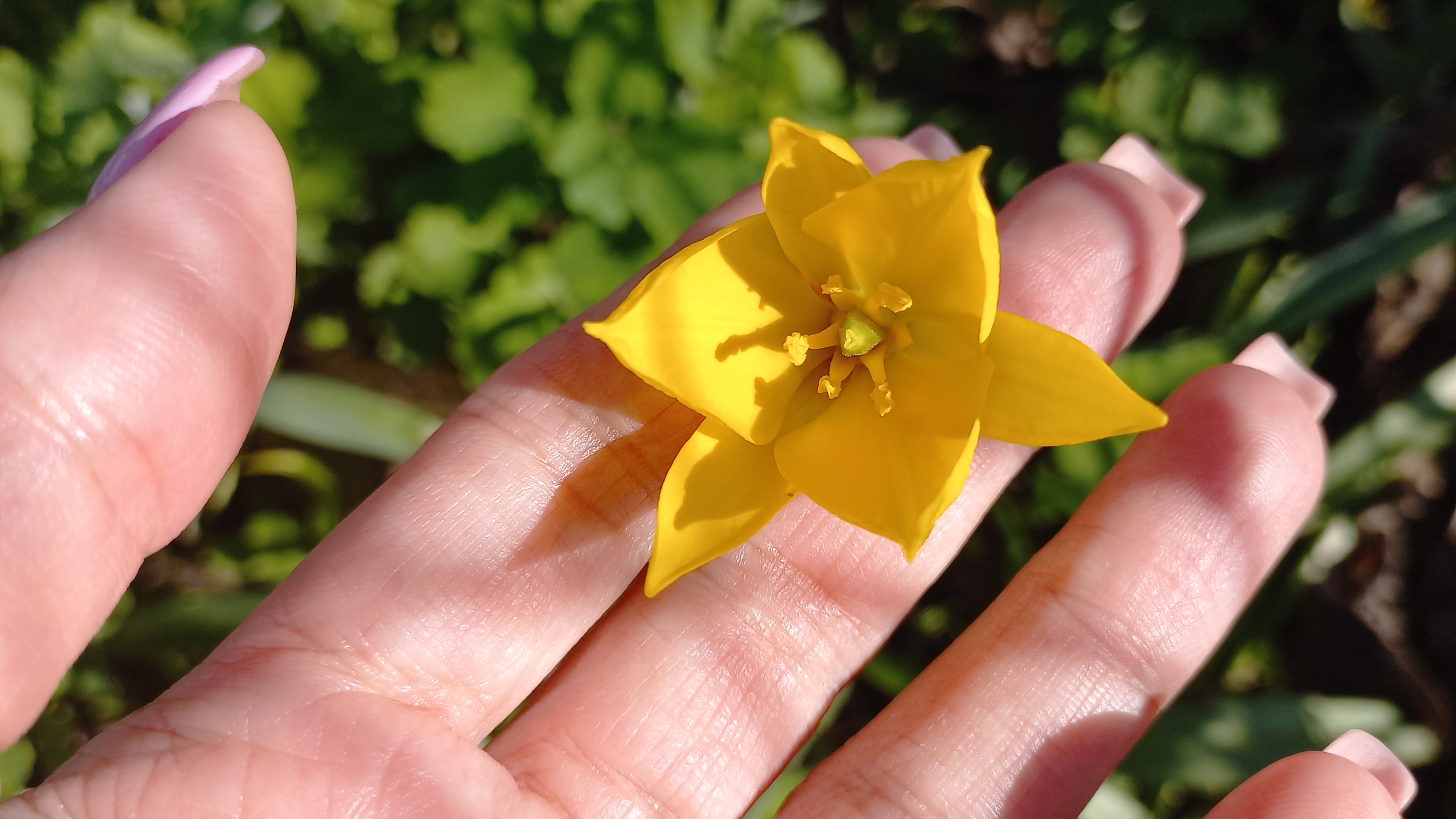 Влог 13-17.04.26 Кухню собрали.  Какая-то грустинка.