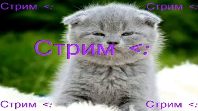 ОТРЫВОК ПЕСНИ ИЗ СТРИМА