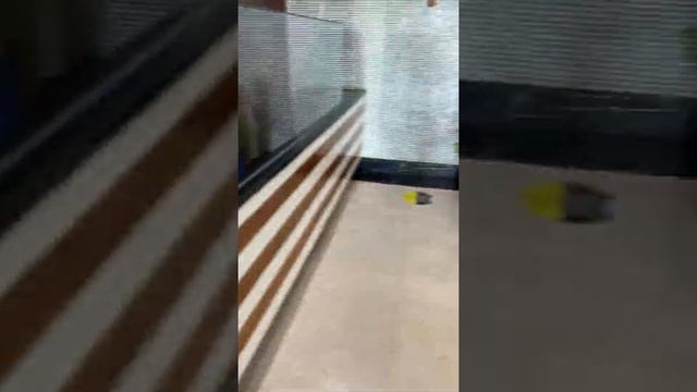 Шведский стол Что на обед  в Отеле Sea Planet Resort 5