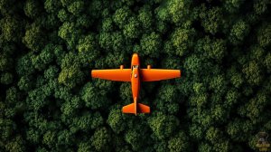 Красивая природа, рекомендовано к просмотру на Smart TV | #шариклайф | #мирприроды