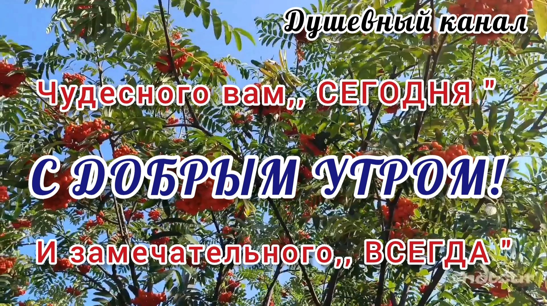 ЧУДЕСНОГО ВАМ ,,СЕГОДНЯ