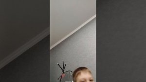 прятки в доме