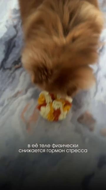 Эта игрушка 5 лет назад реально облегчила нам жизнь и стала идеей для бренда — помочь таким же со...