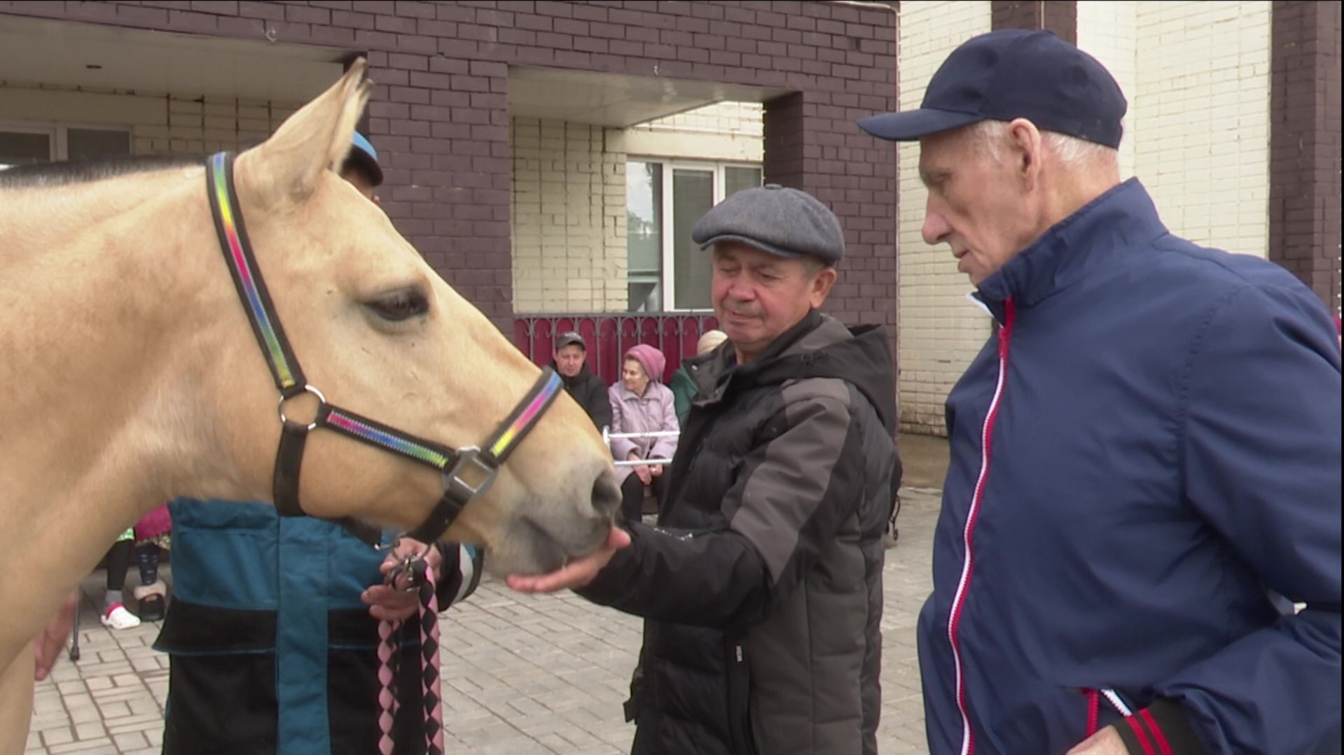 «Ирма» и «Пышка» ели с руки сахар и кусочки яблока