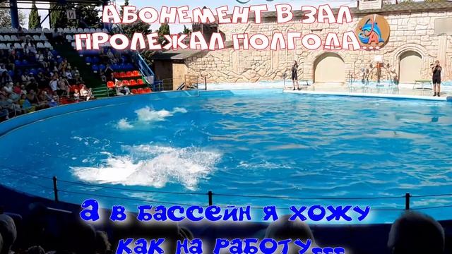 Развлечения в бассейне