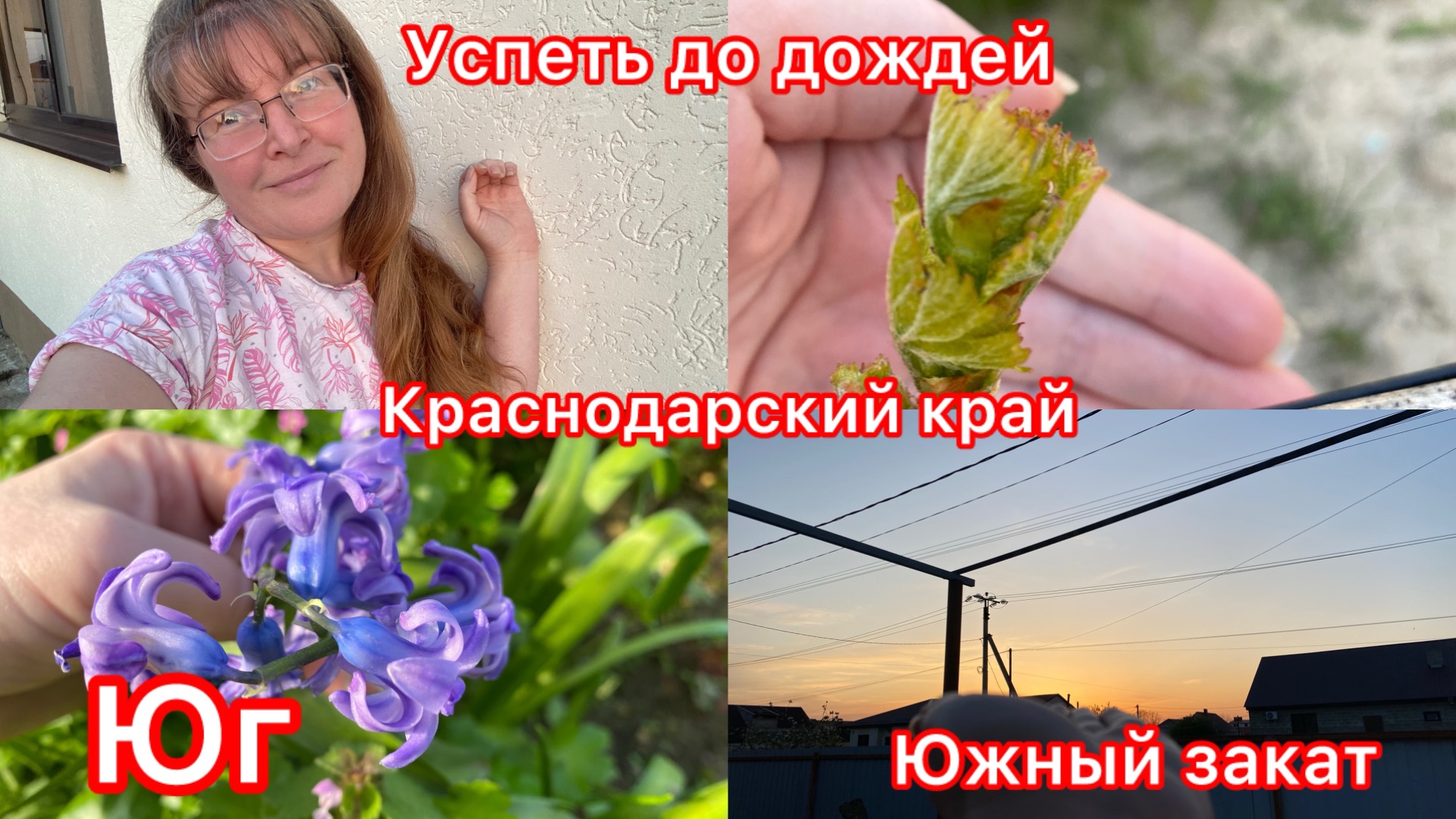 Купили дом. Мысли вслух. Убираю траву в саду. Встретимся в эфире. Закат на юге.