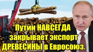 Путин НАВСЕГДА закрывает экспорт древесины в Евросоюз — ЖЁСТКИЙ удар по ЕС!