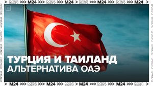 Вице-президент РСТ назвал Турцию и Таиланд альтернативой ОАЭ на майские праздники - Москва 24