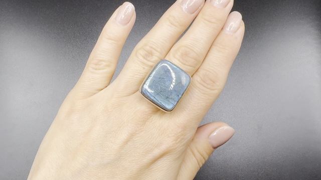 ХХХ261 Кольцо с Лабрадором р. 18.5 камень 22х20мм