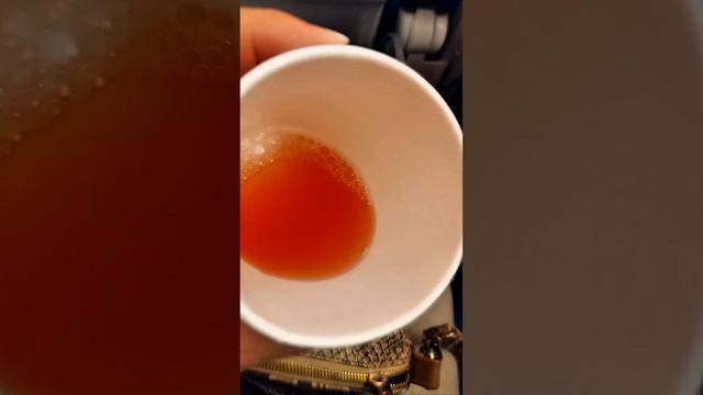 Как бюджетно и комфортно добраться во Вьетнам чем кормят раздают в полете южно-китайские авиалинии