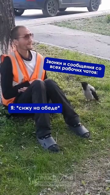 Ни минуты покоя!