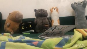 Школа котиков 1 батон не кот