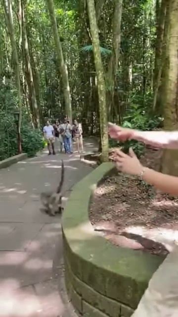 ИЗВЕСТНАЯ ПЕВИЦА ЛИШИЛАСЬ ТЕЛЕФОНА нейросеть