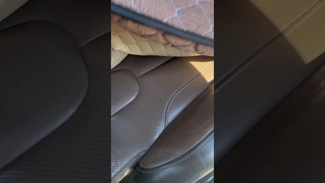 copy_C1FD25D7-83B1-45CF-ACF4-C113622FE7F0