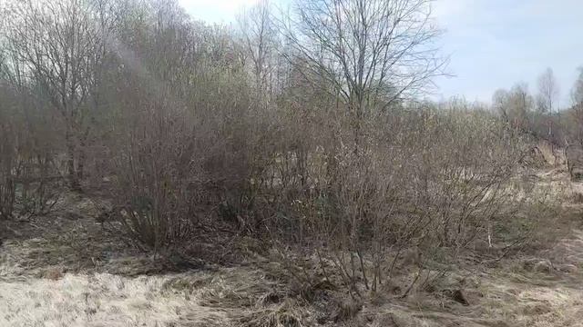 п. Лесное 50:18:0070305:645