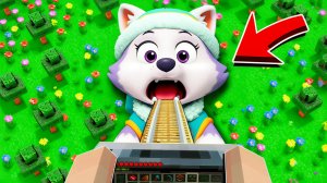 😳ЧТО НАХОДИТСЯ ВНУТРИ ЭВЕРЕСТ ЩЕНЯЧИЙ ПАТРУЛЬ В МАЙНКРАФТ