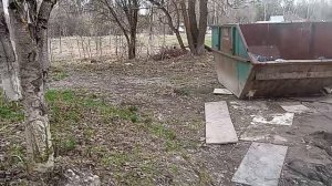 17-04-2026  мусор магазин и чай