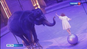 Многотонные артисты покорили гостей Костромского цирка своей нежностью