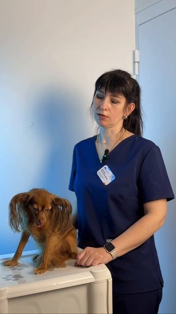 Кравченко Ю.А.