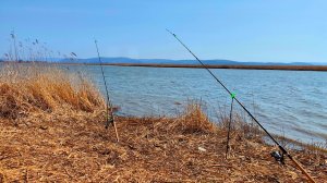 Рыбалка на реке. Бывает и такая рыбалка.